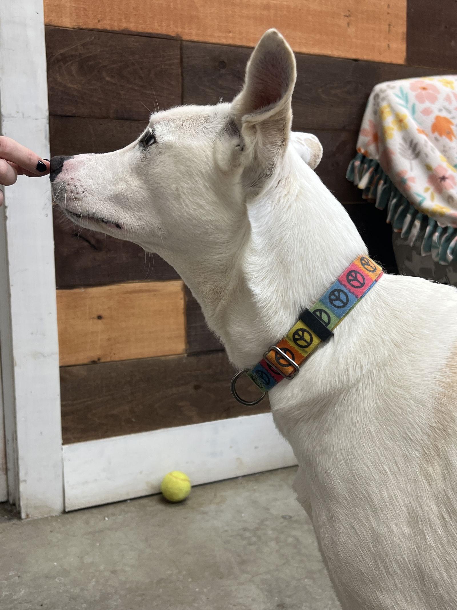 Fiona Dixon thumbnail 2