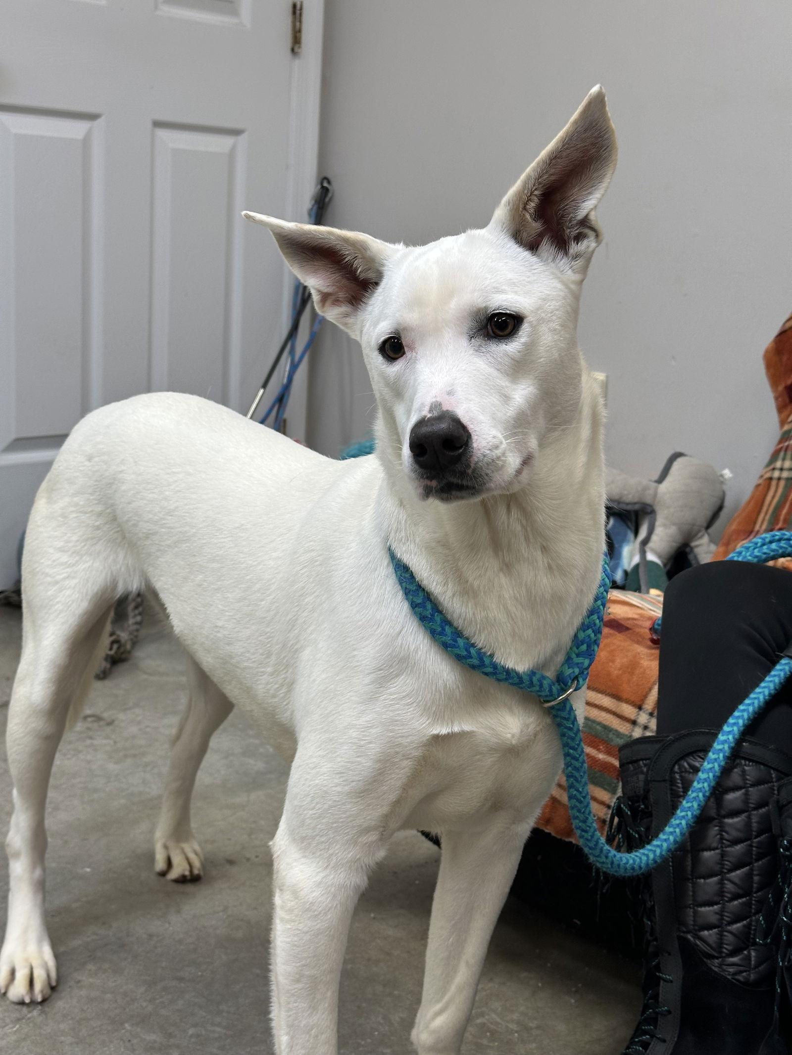 Fiona Dixon thumbnail 3