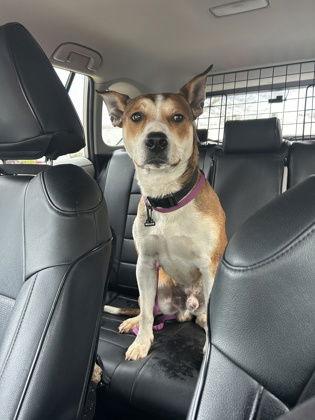 Pointy Athens thumbnail 3