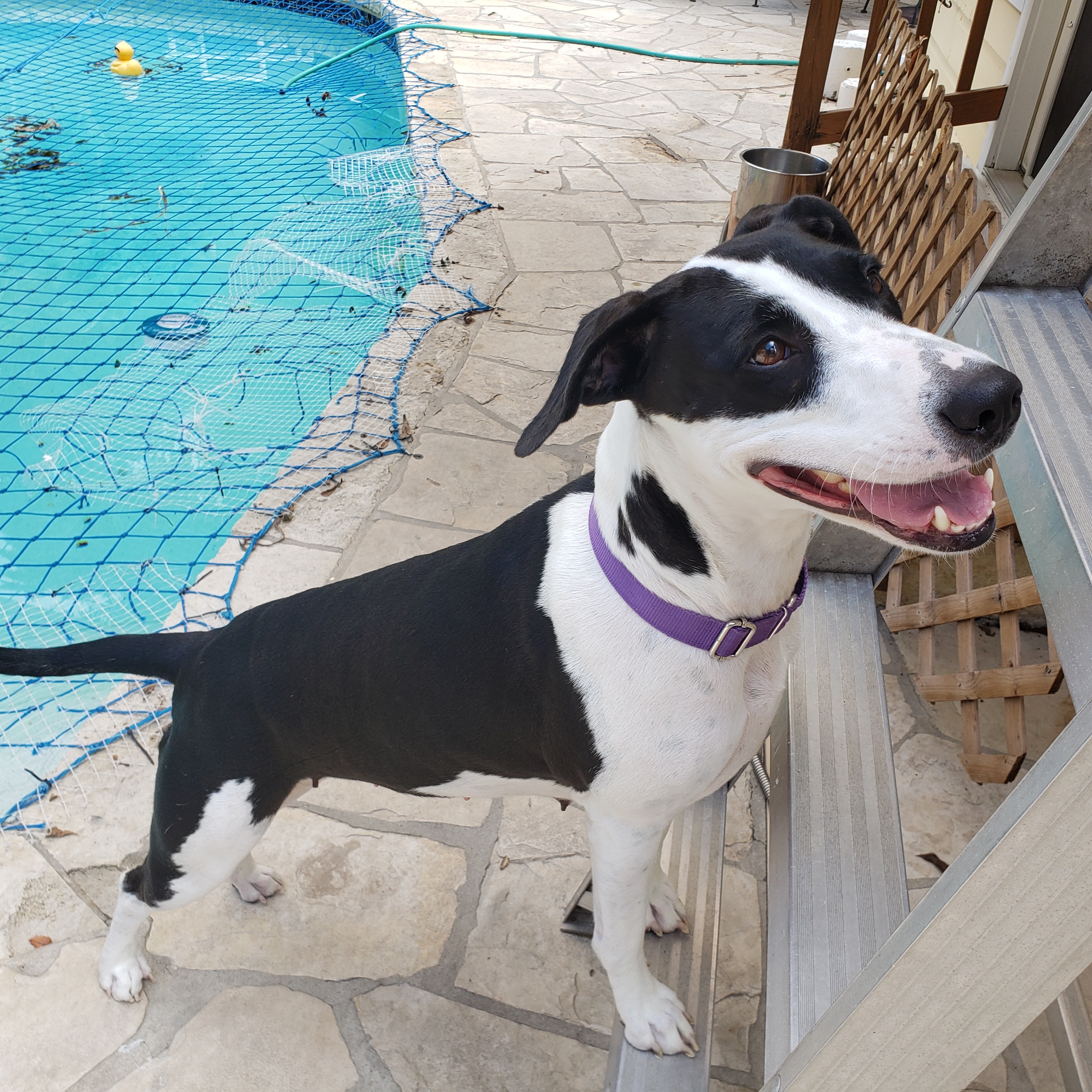 Charity 🦋 thumbnail 4