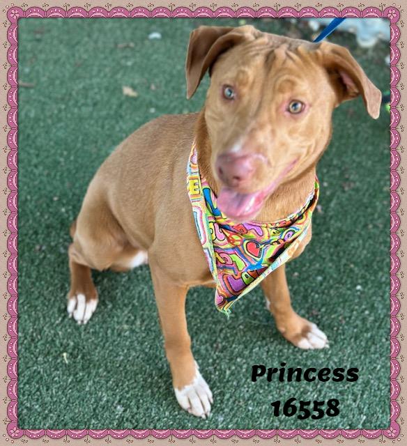 Princess thumbnail 2