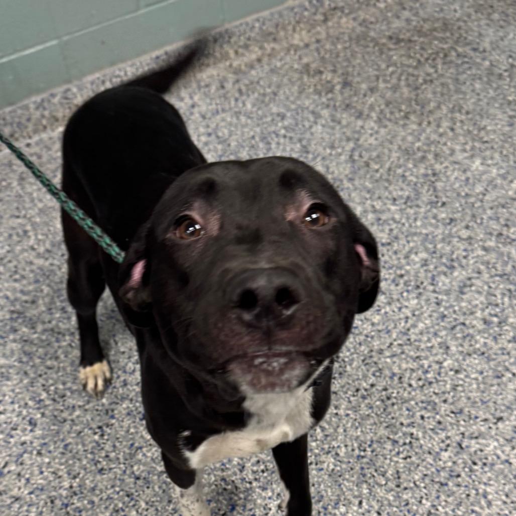 Midnight thumbnail 2