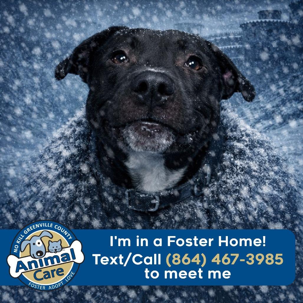 Midnight thumbnail 3