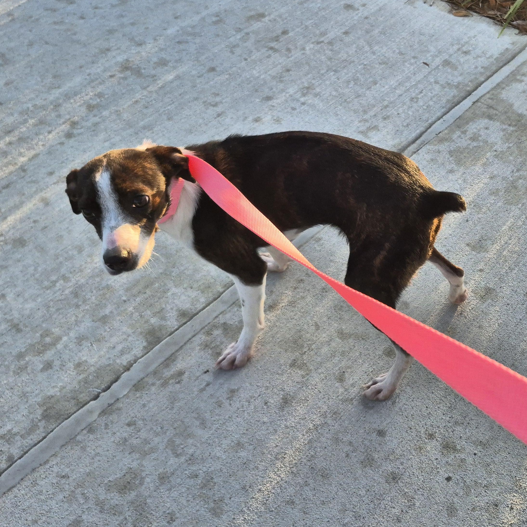 Jenna Marbles thumbnail 2