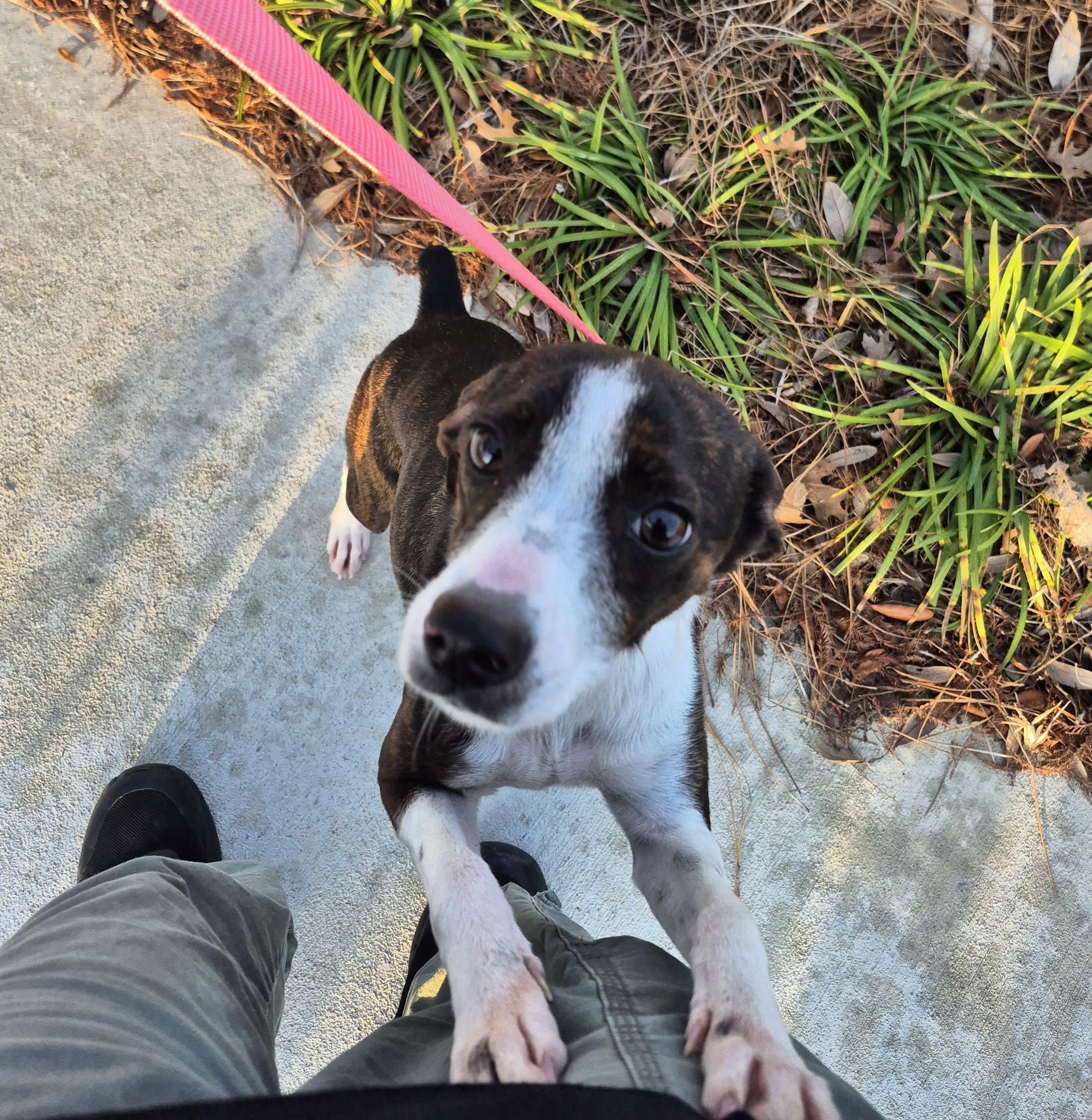 Jenna Marbles thumbnail 3