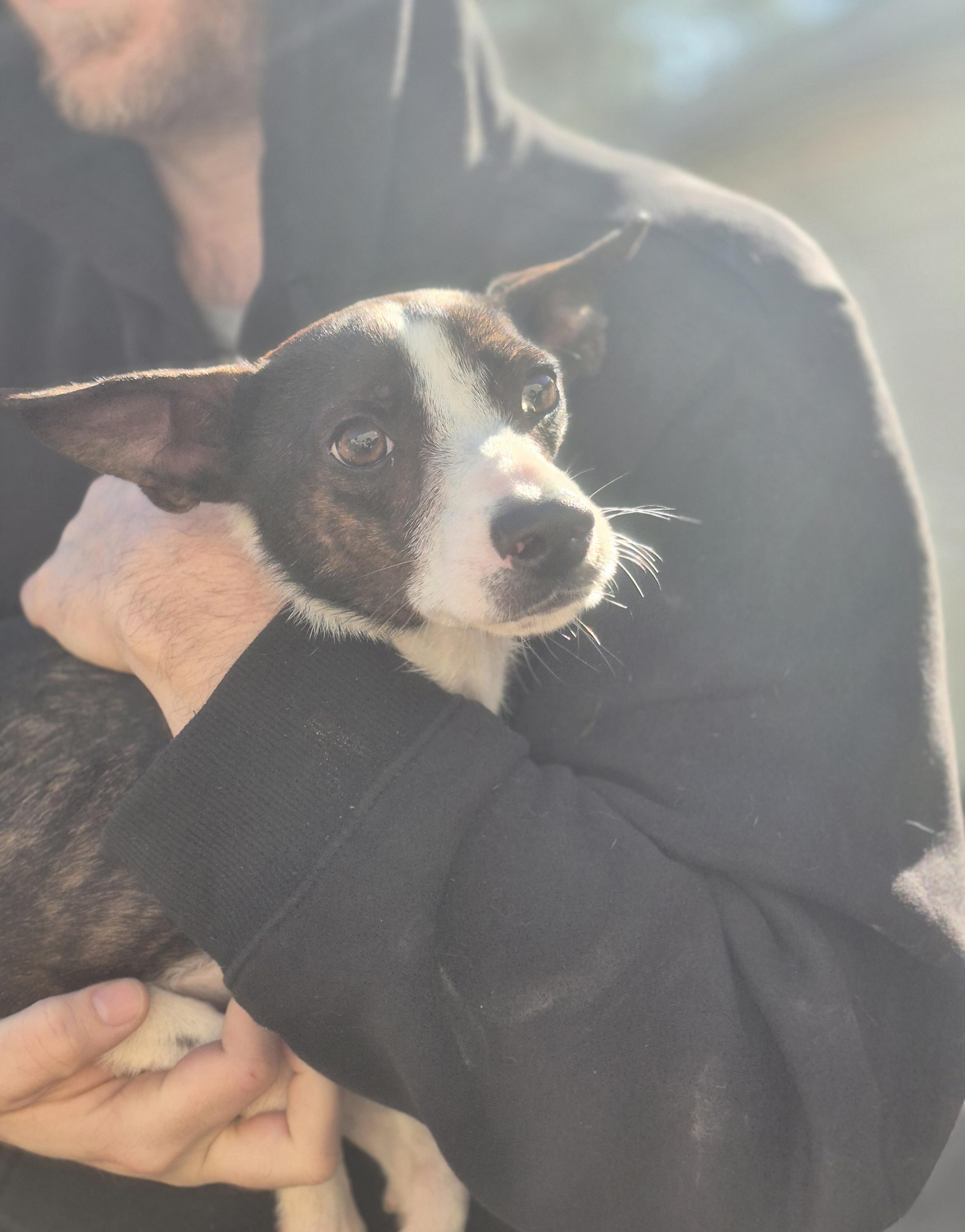 Jenna Marbles thumbnail 4