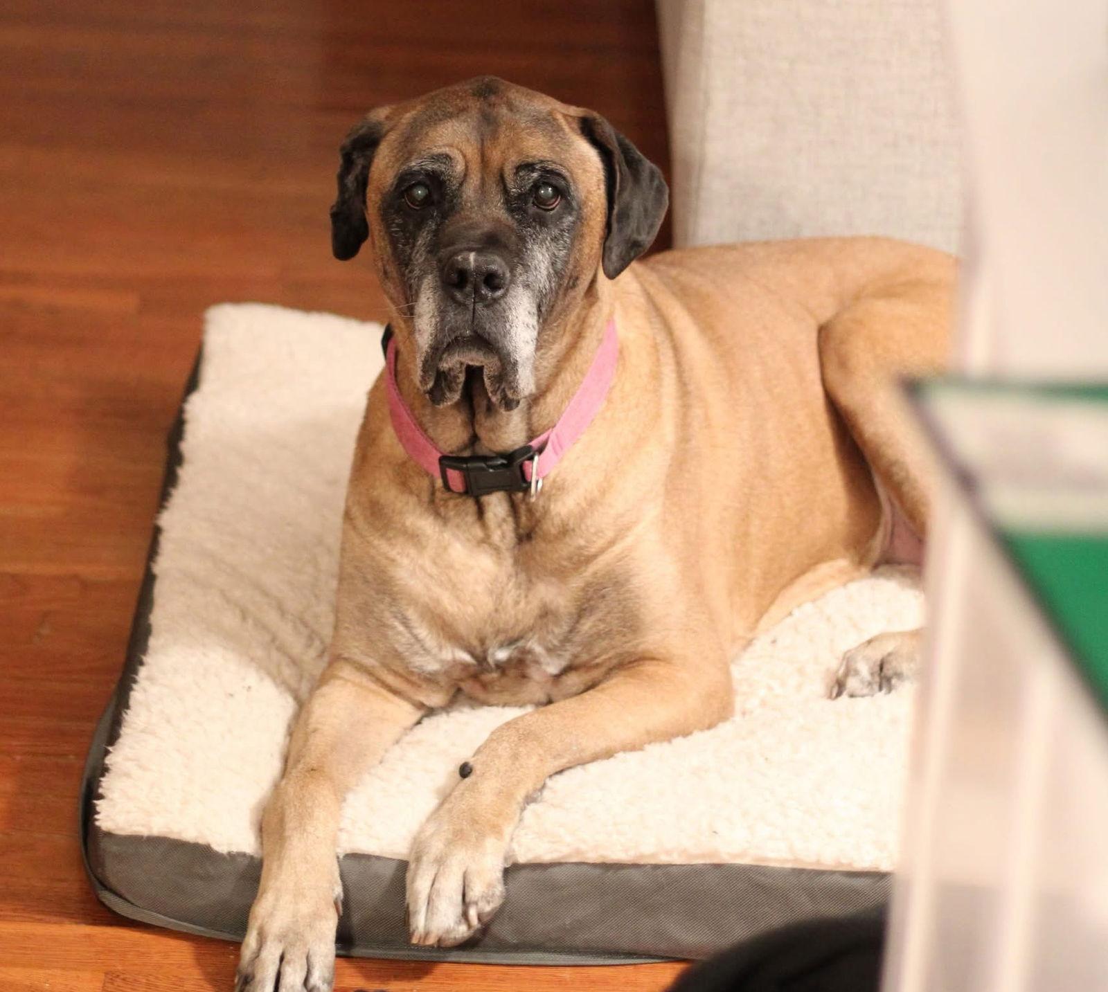 Piper  For The thumbnail 2