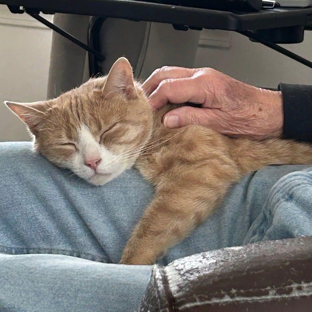 Mr. Tibbs thumbnail 2