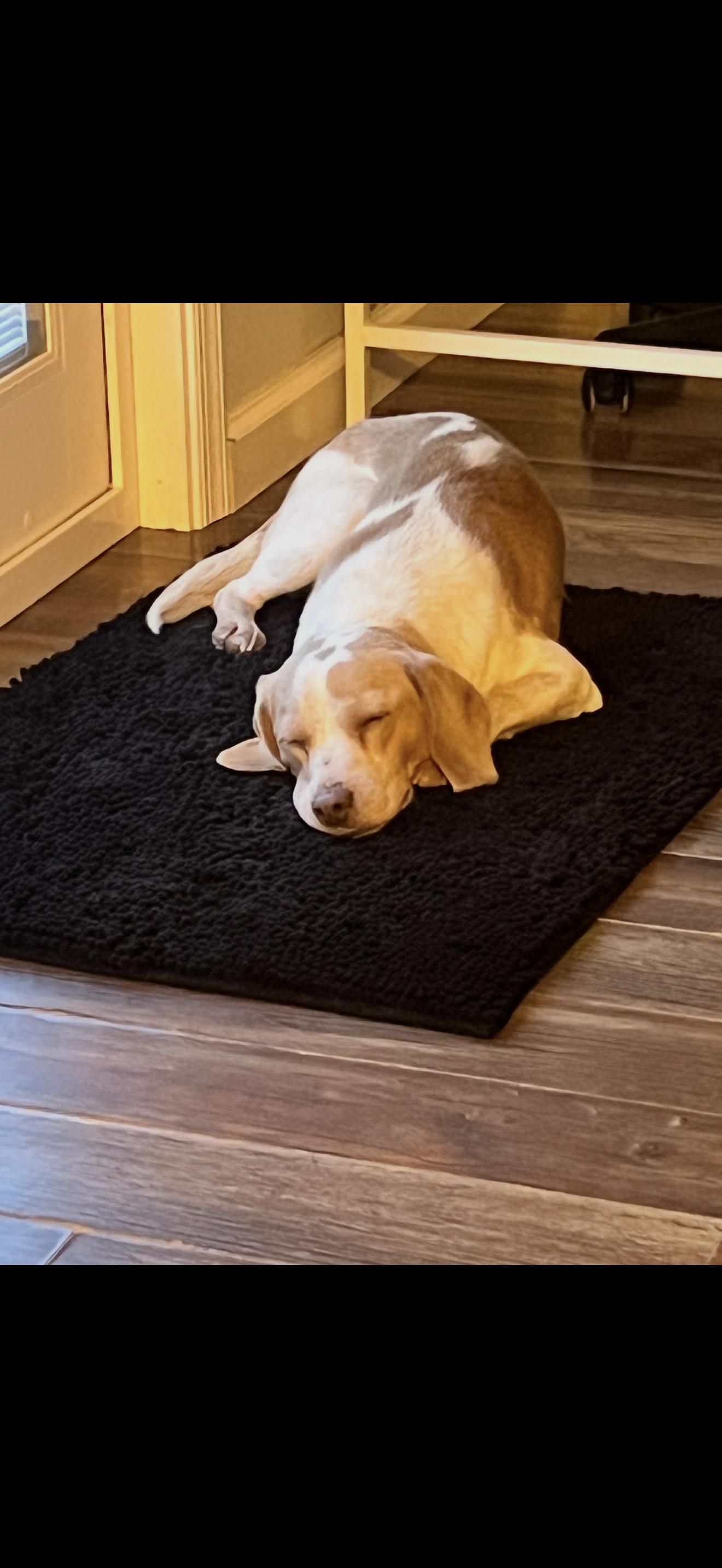 Marshall thumbnail 2