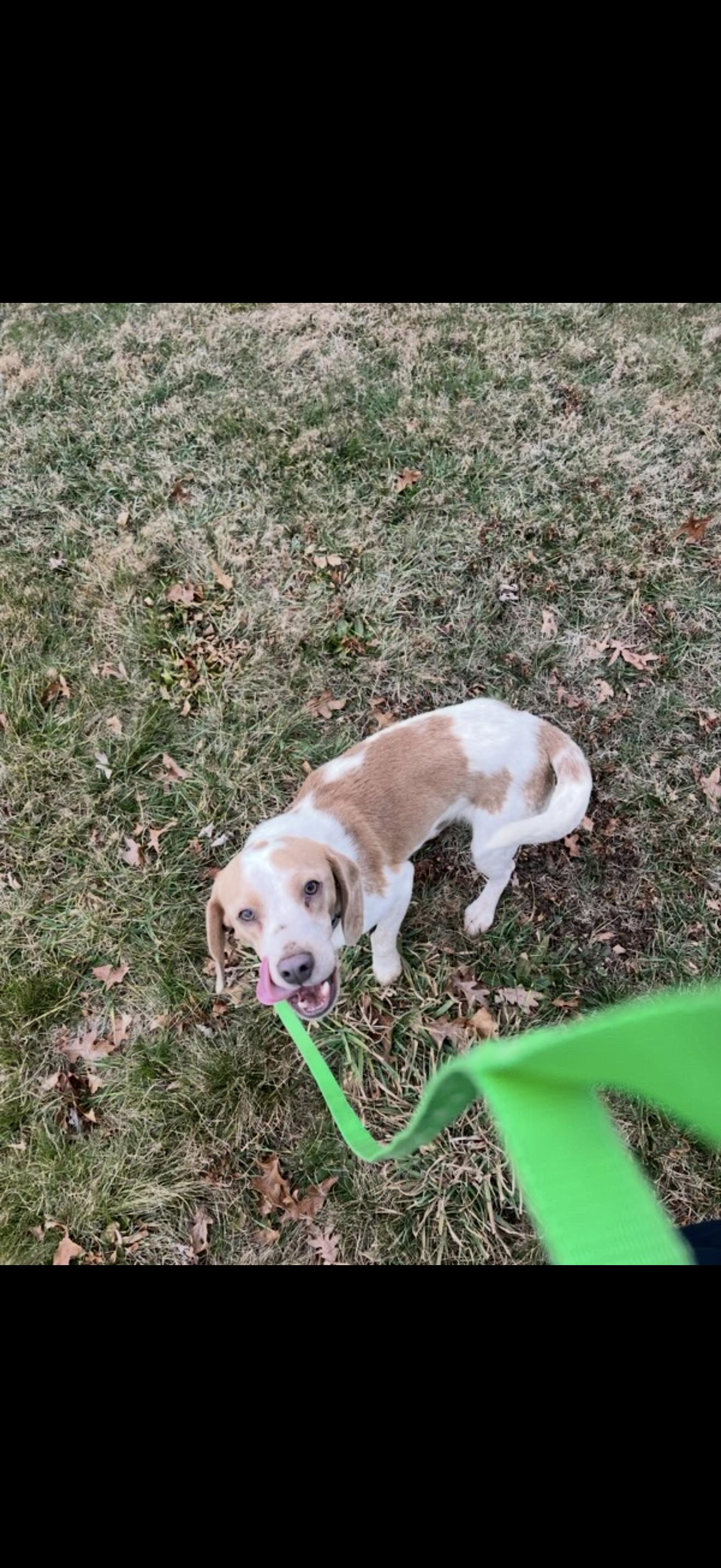 Marshall thumbnail 5