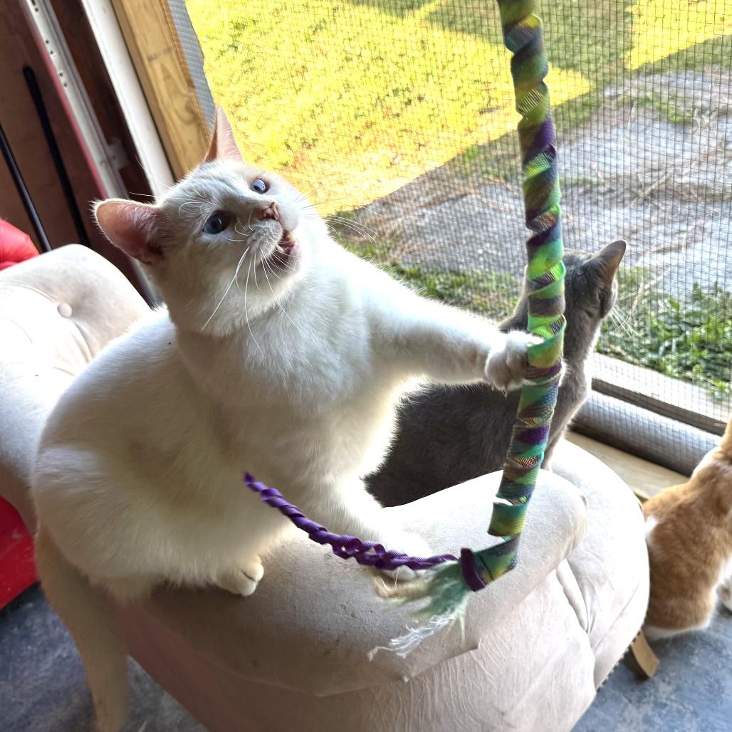 Jack The Skeleton thumbnail 2