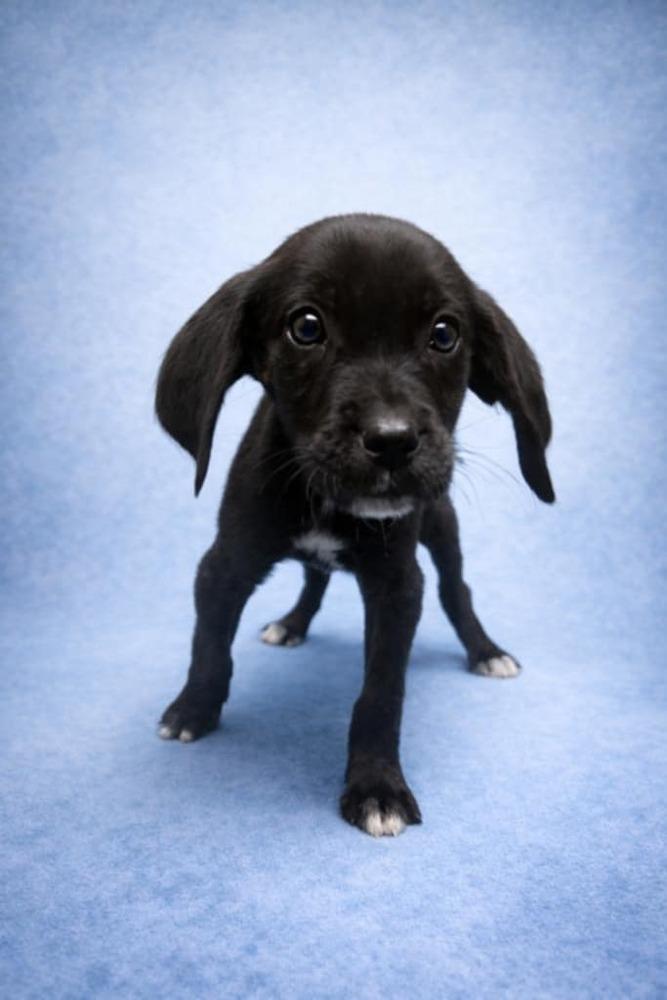 Supernatural Crew  Dean