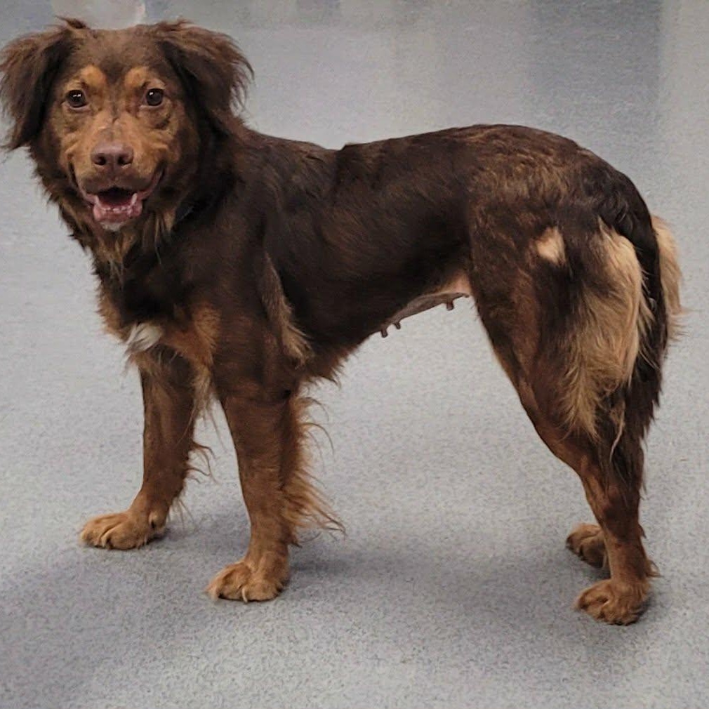 Hazel! Sweet Quiet Girl! thumbnail 2