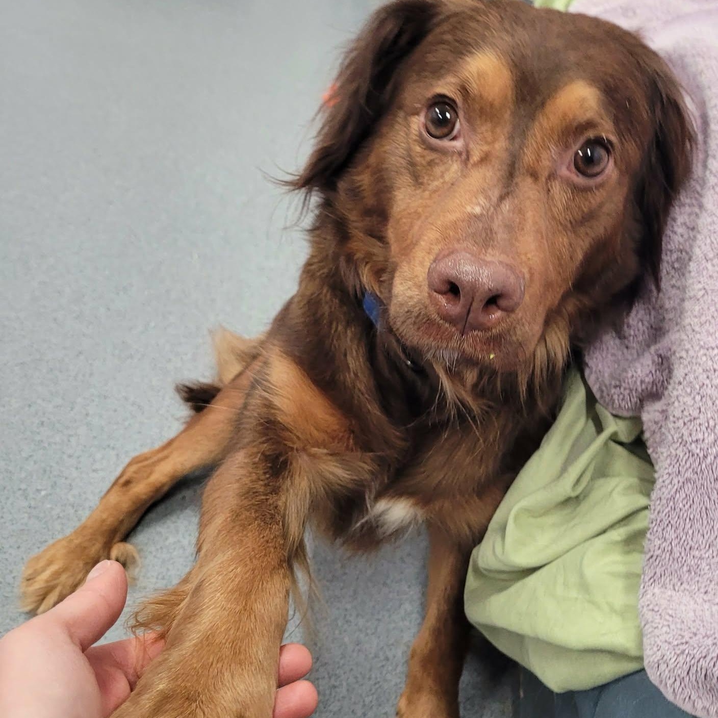 Hazel! Sweet Quiet Girl! thumbnail 4