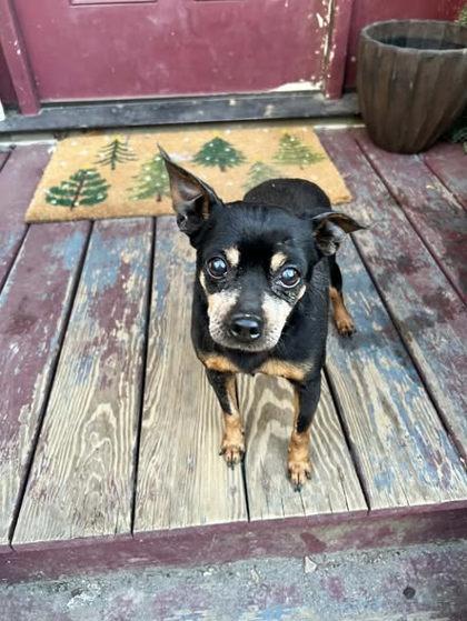 Grandpa Possum thumbnail 2