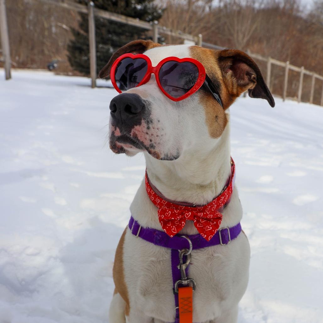 Champion thumbnail 6