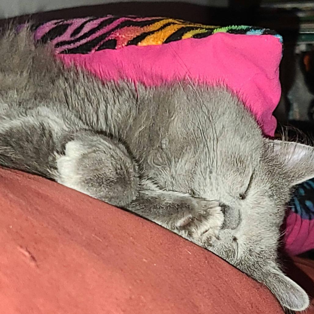 Shadowseeker thumbnail 5