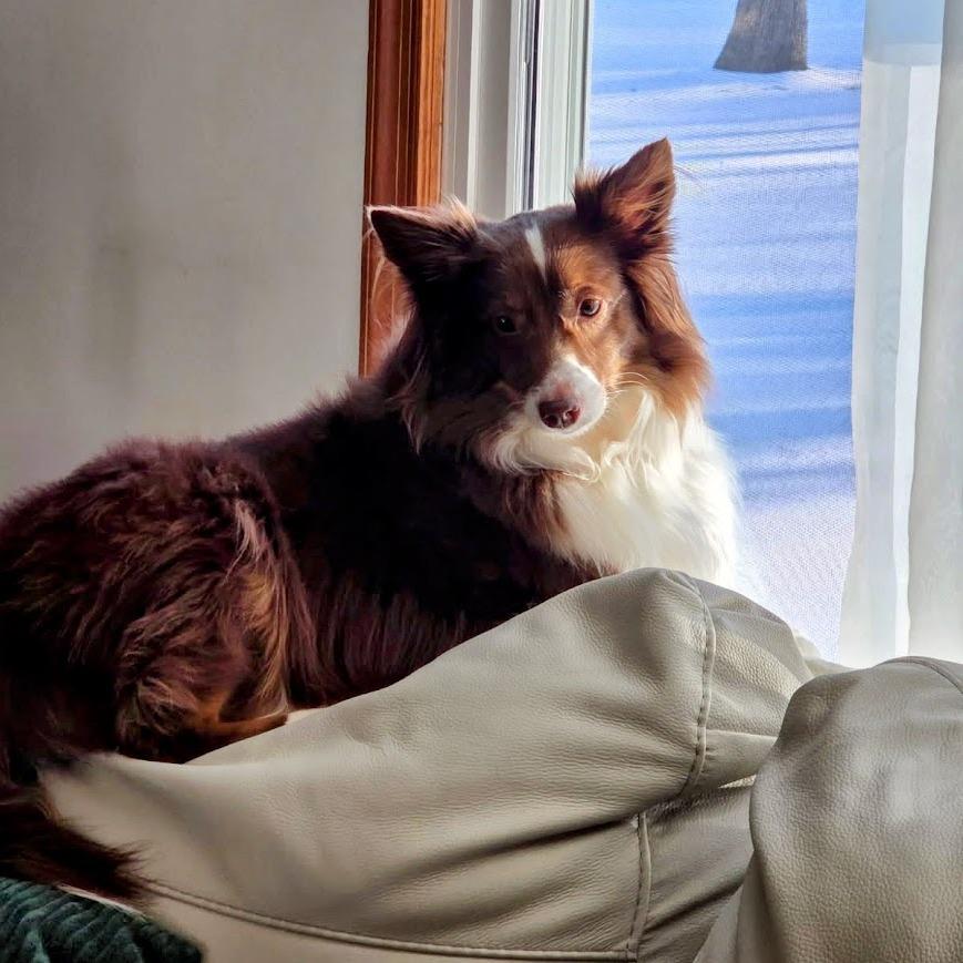 Chai Spice thumbnail 2