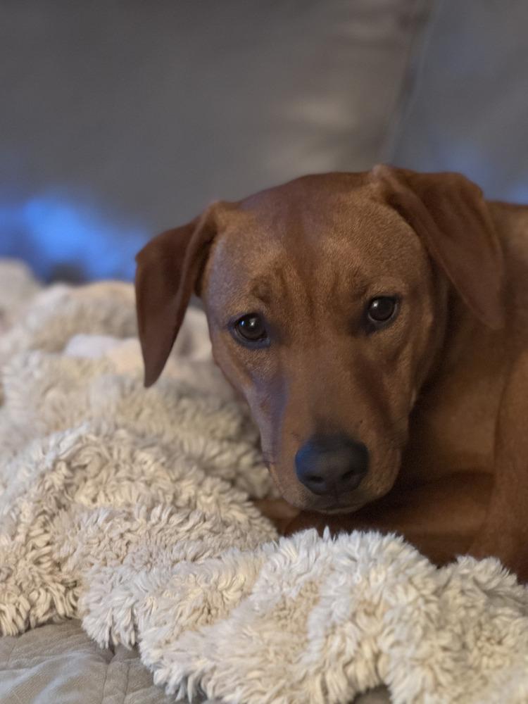 Lainey Aka Babe thumbnail 3