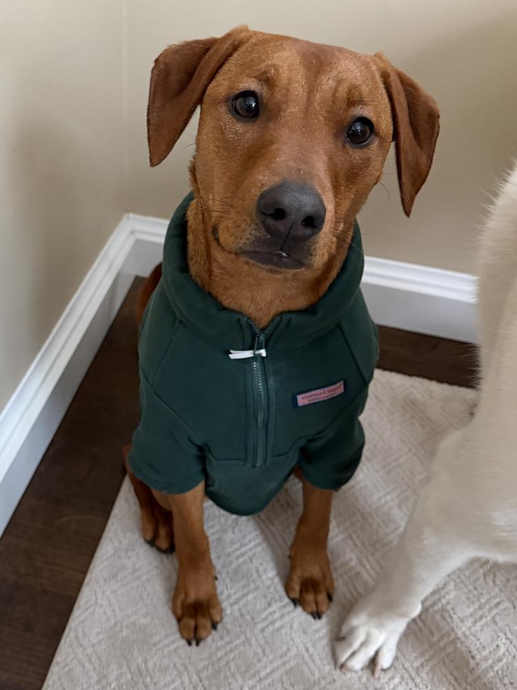 Lainey Aka Babe thumbnail 4