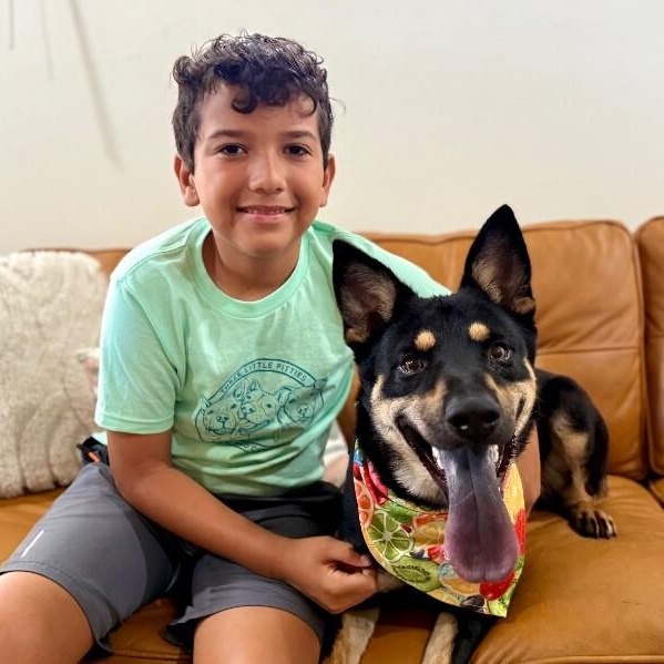 Rocky A Ballloving Good thumbnail 2