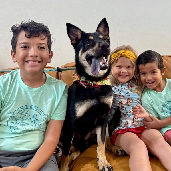 Rocky A Ballloving Good thumbnail 3