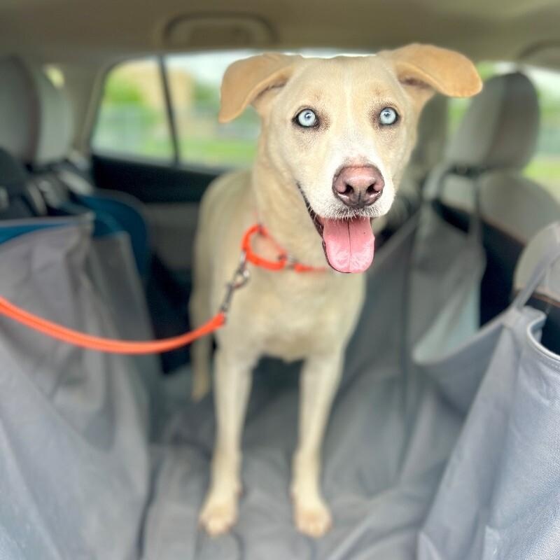 Rory Right On Time thumbnail 2