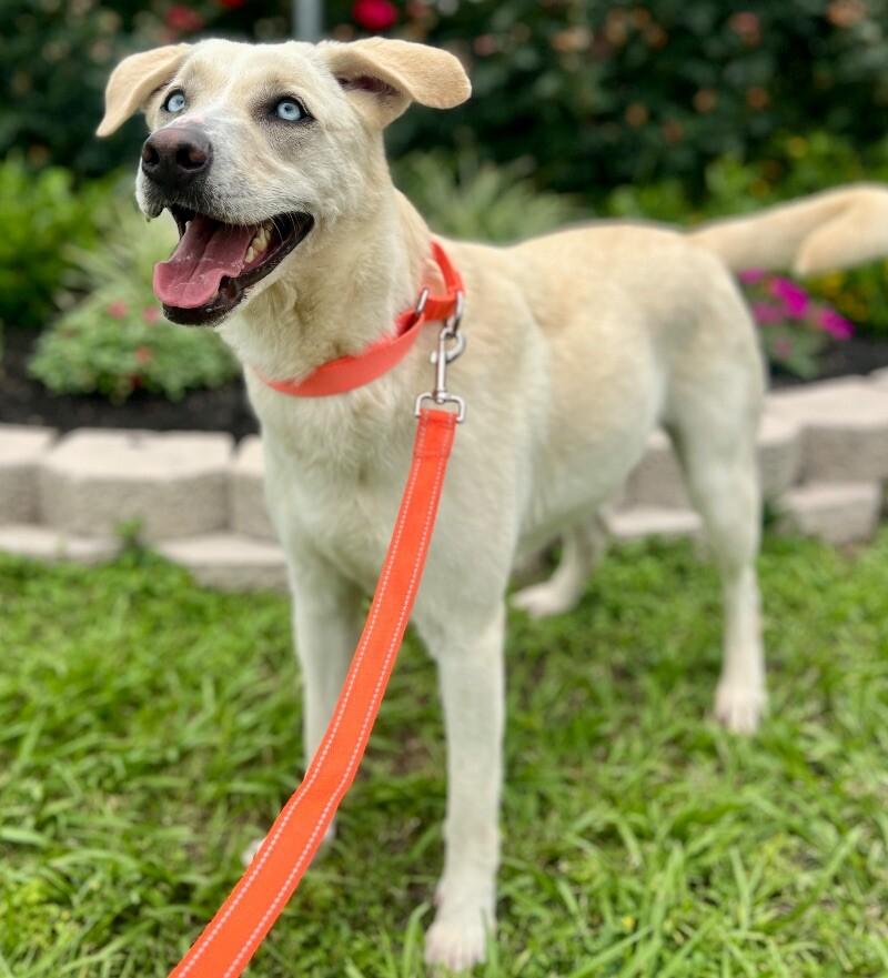 Rory Right On Time thumbnail 5