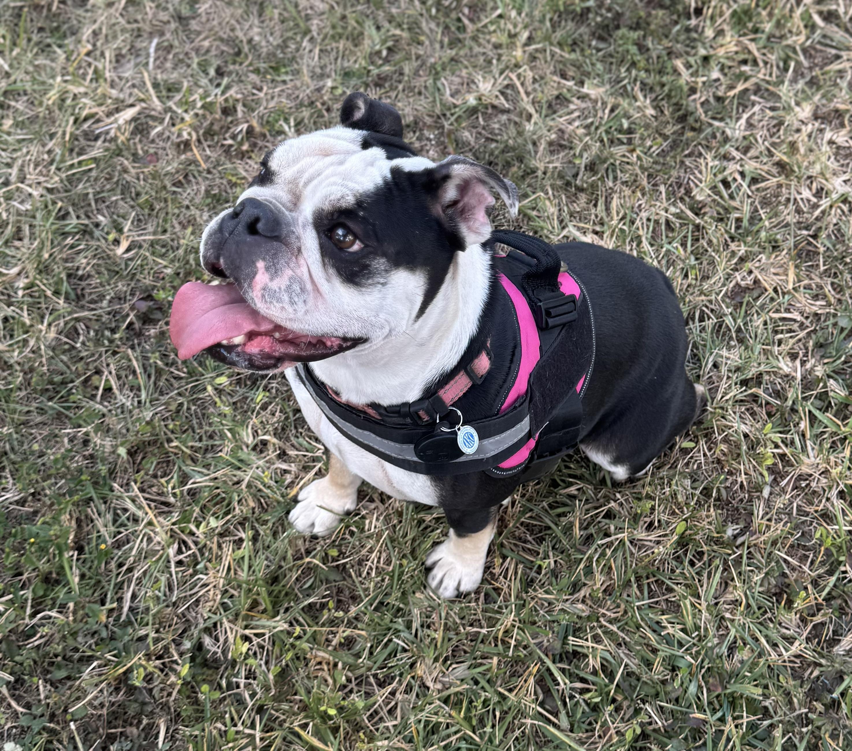 Tuna Girl thumbnail 3