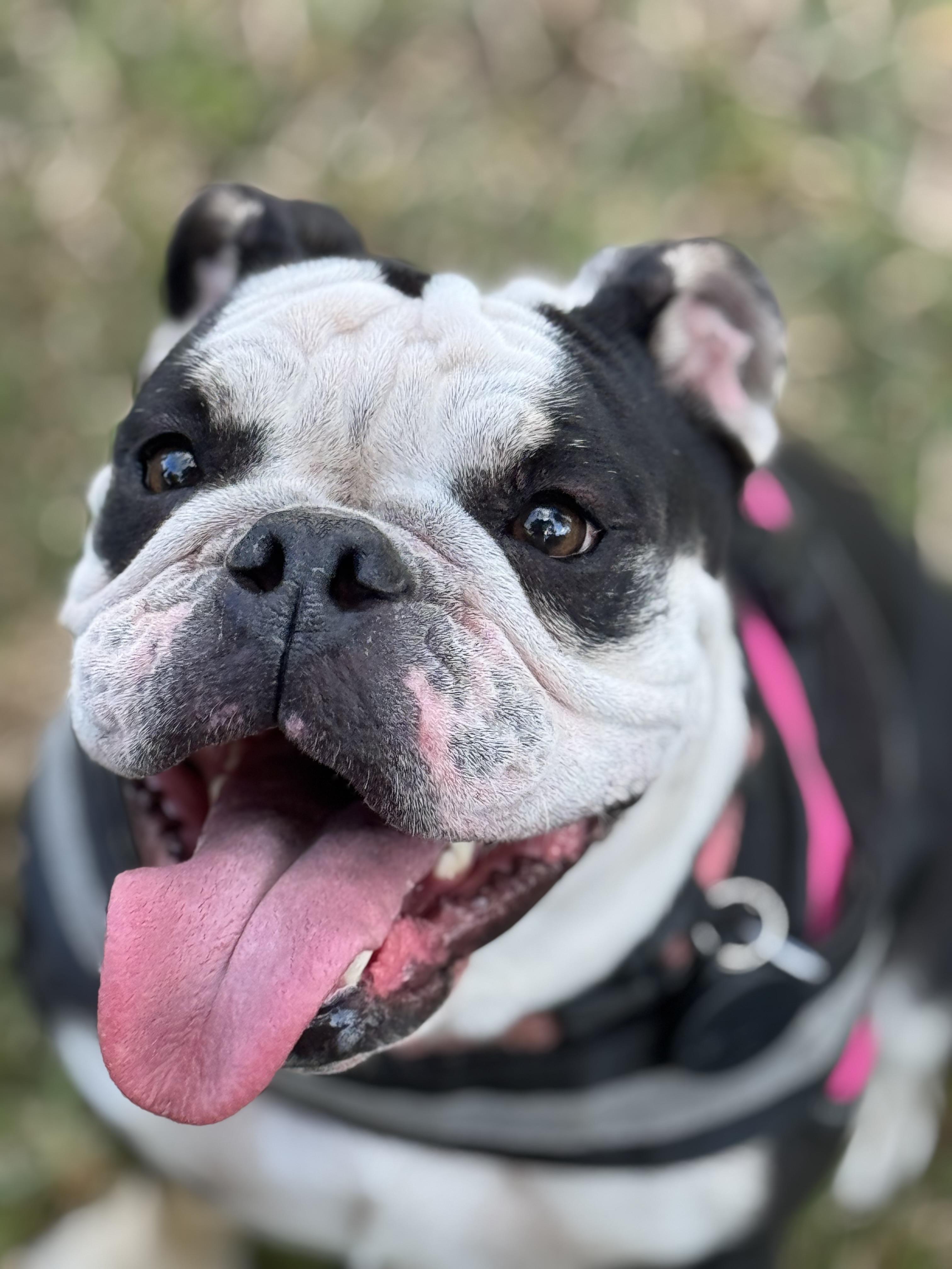 Tuna Girl thumbnail 5