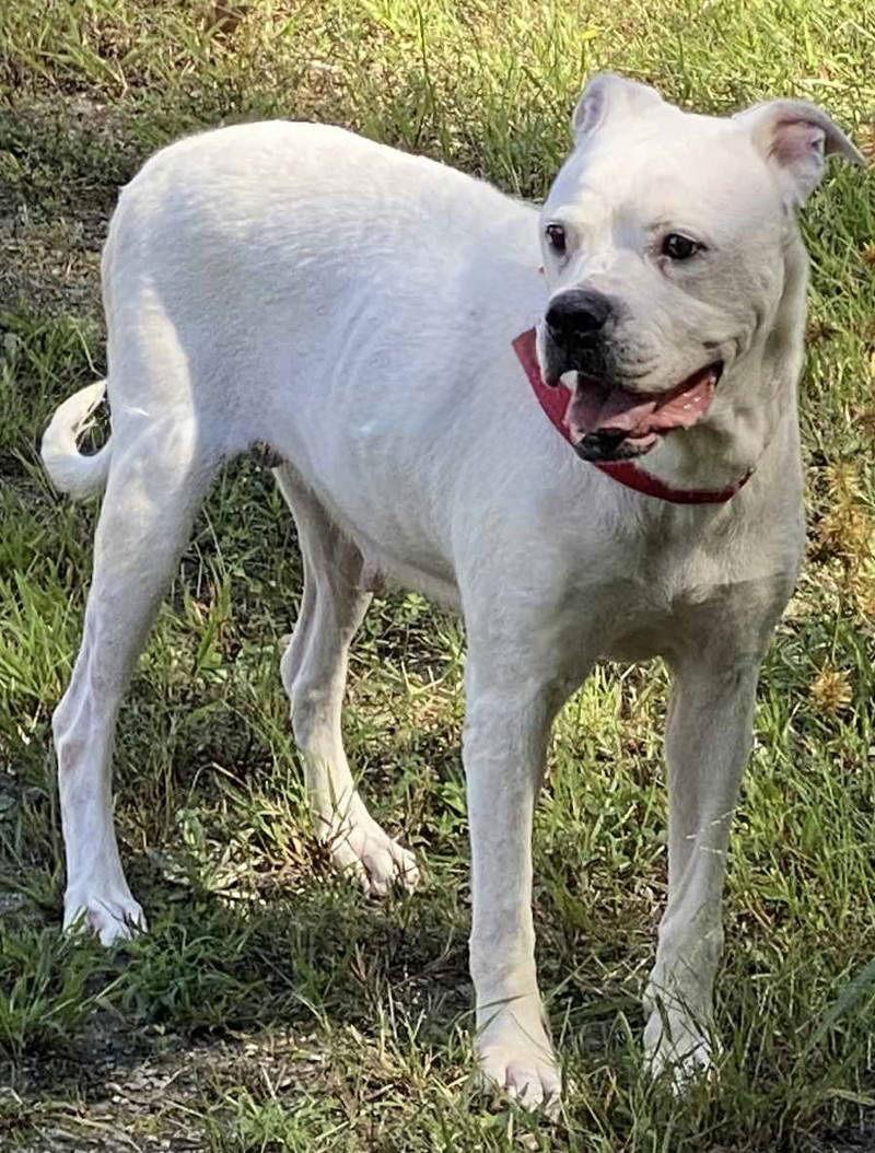 Mama Dukes thumbnail 3