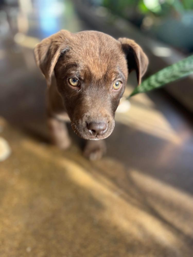 Iconic Trio : Paul thumbnail 2