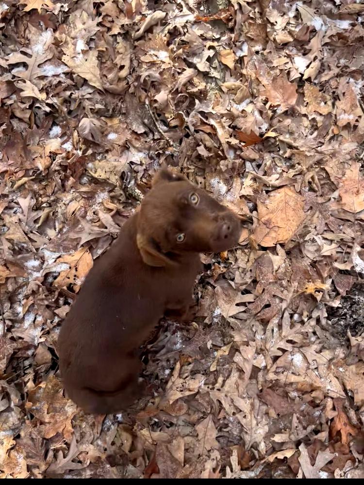 Iconic Trio : Paul thumbnail 3