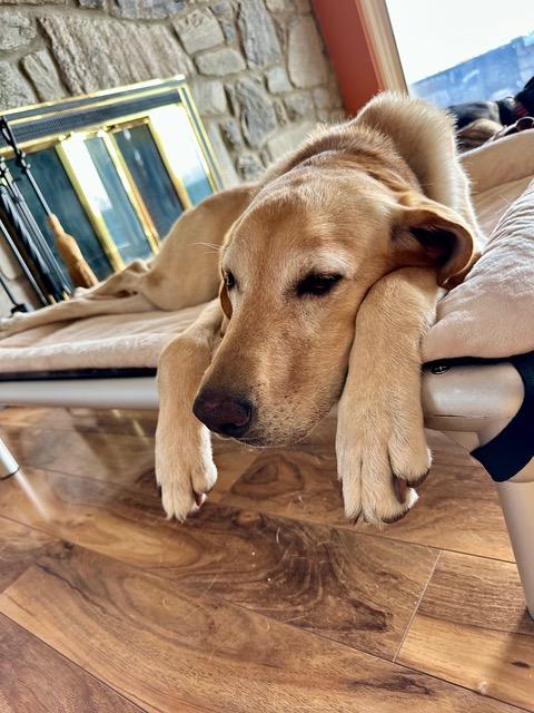 Ellie  Sweet Active thumbnail 2