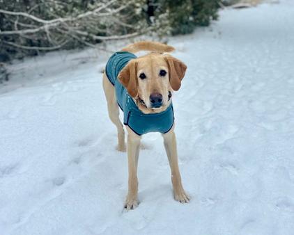 Ellie  Sweet Active thumbnail 3