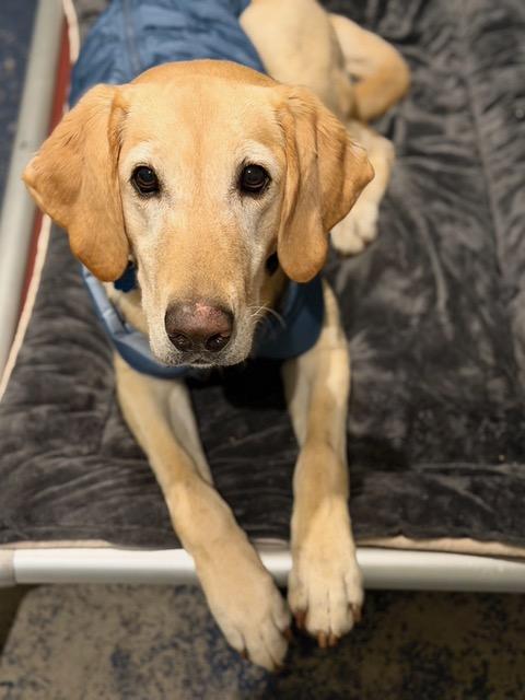 Ellie  Sweet Active thumbnail 4