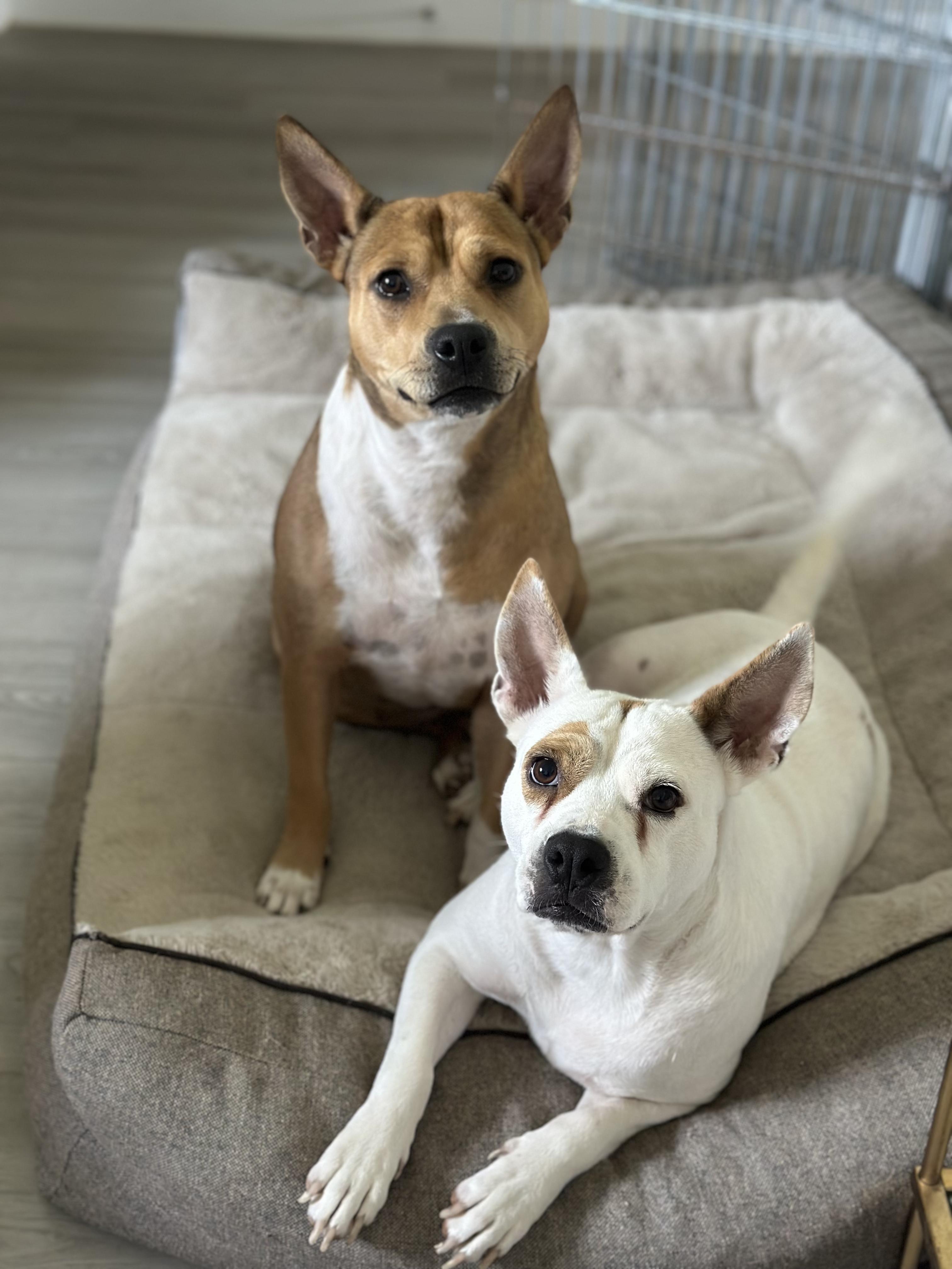 Charlotte thumbnail 3