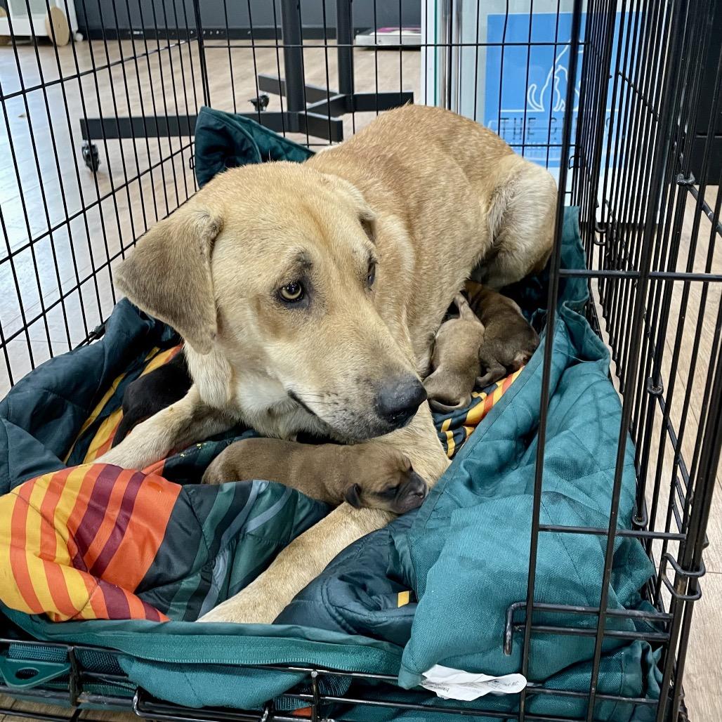 Clementine thumbnail 2