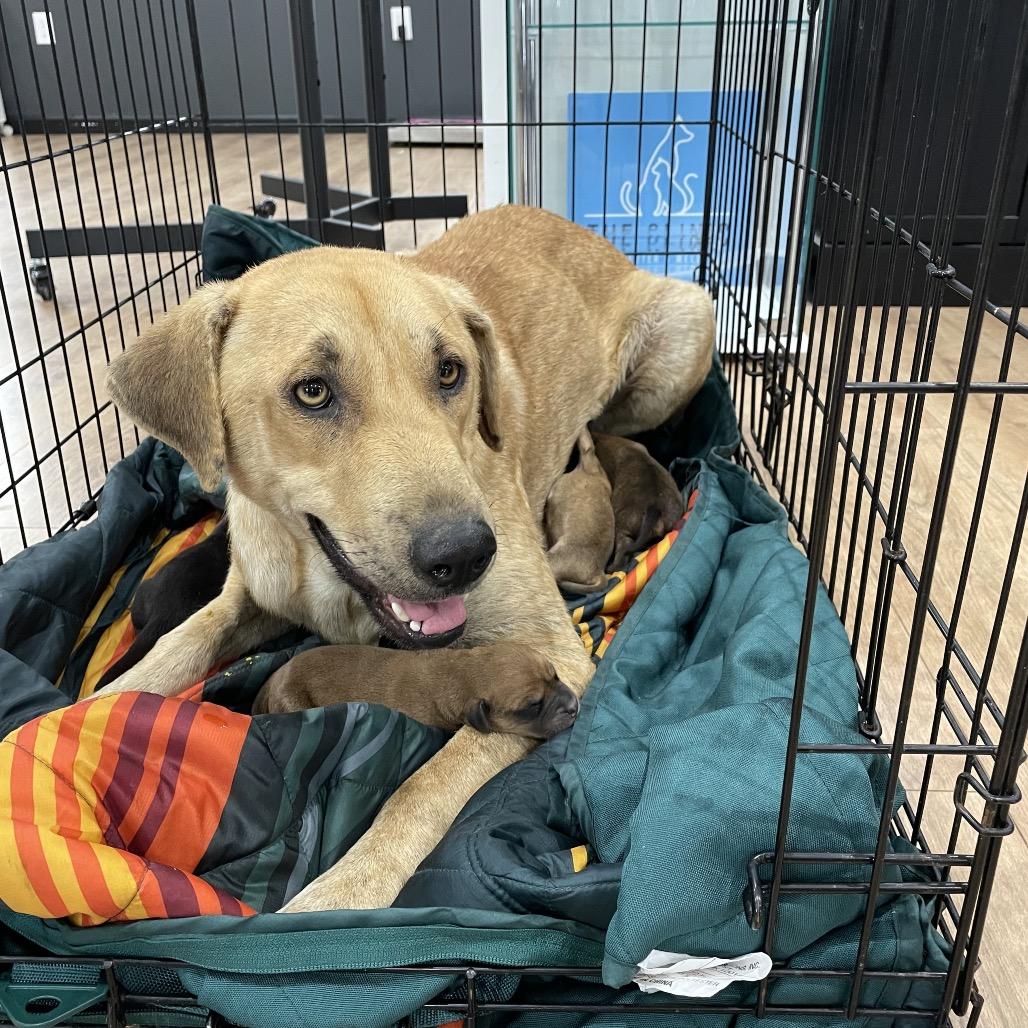 Clementine thumbnail 3