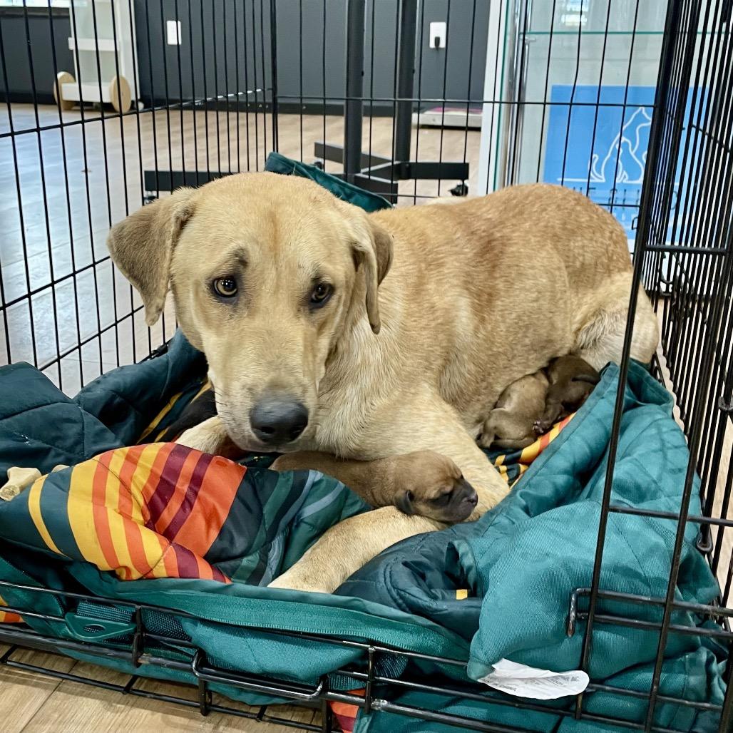 Clementine thumbnail 4