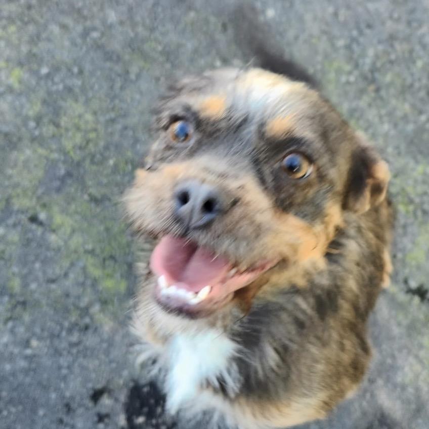 C.c. Cupcake thumbnail 2