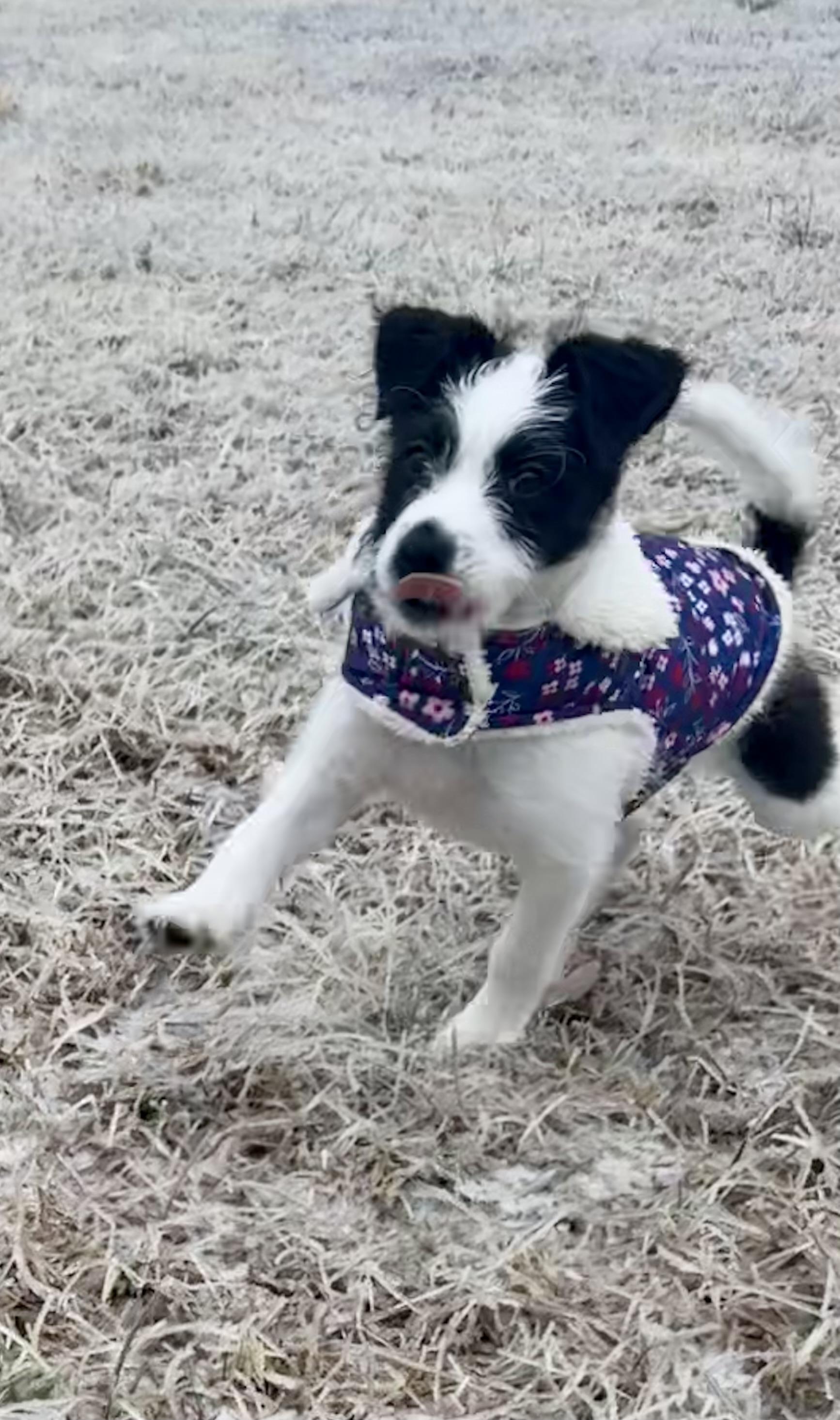 Princess Kate thumbnail 2