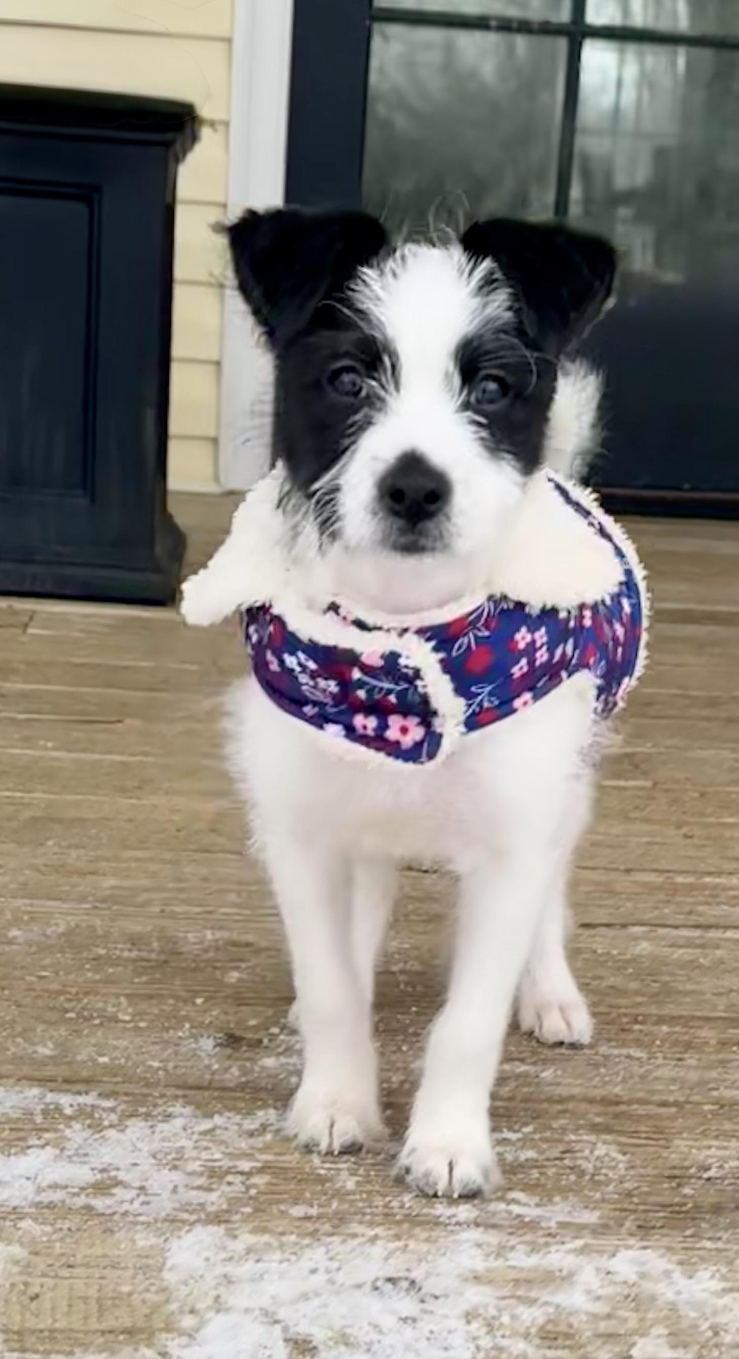 Princess Kate thumbnail 3