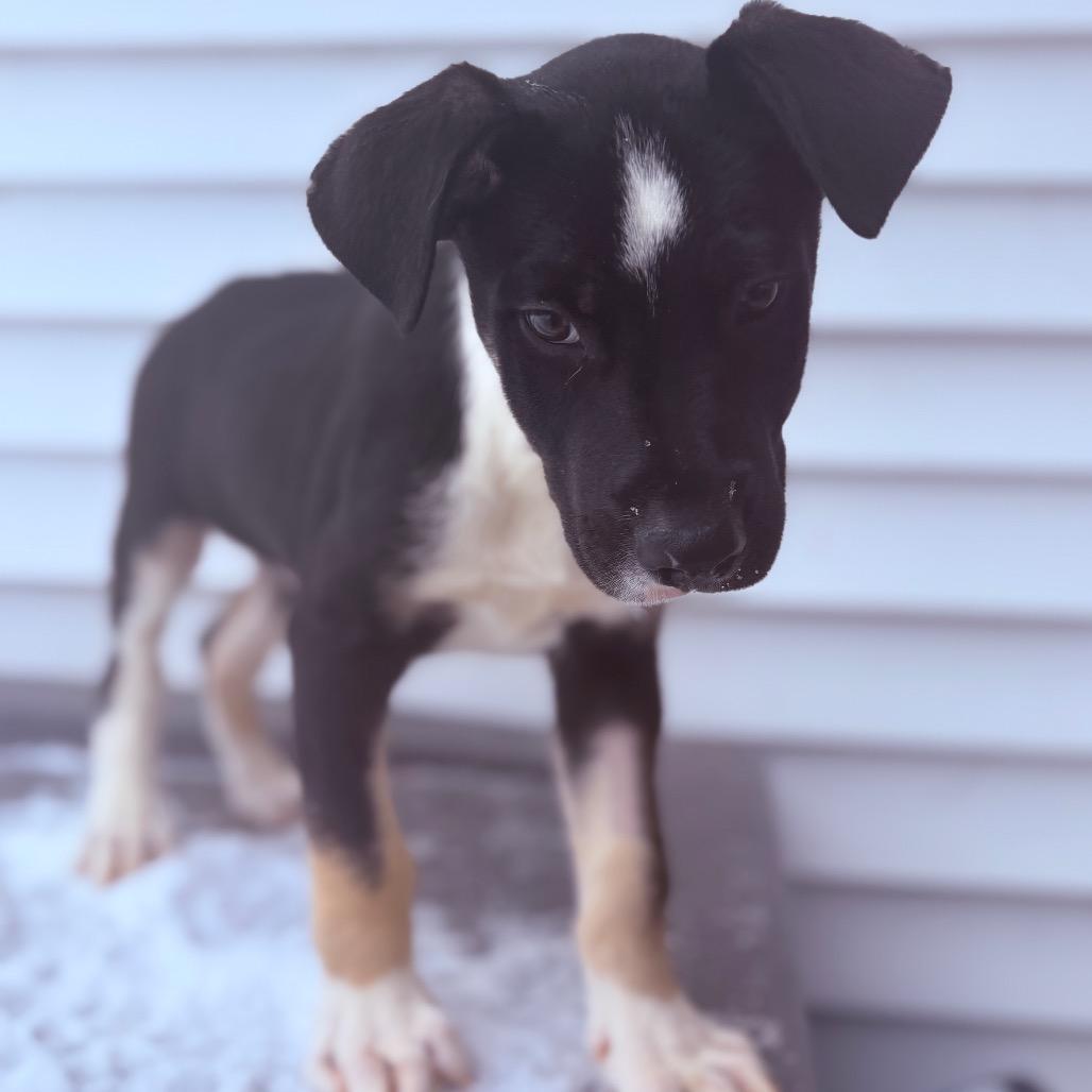 Captain Crunch thumbnail 2