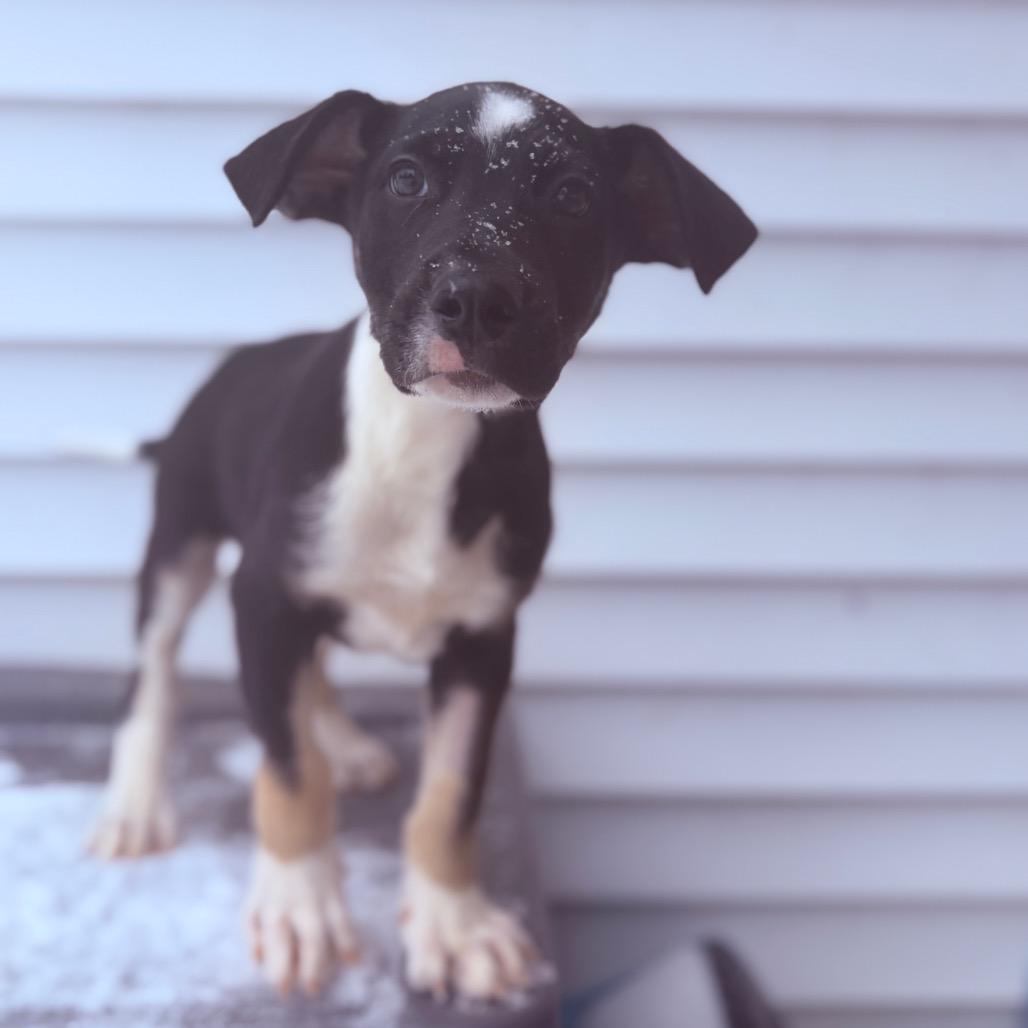 Captain Crunch thumbnail 3