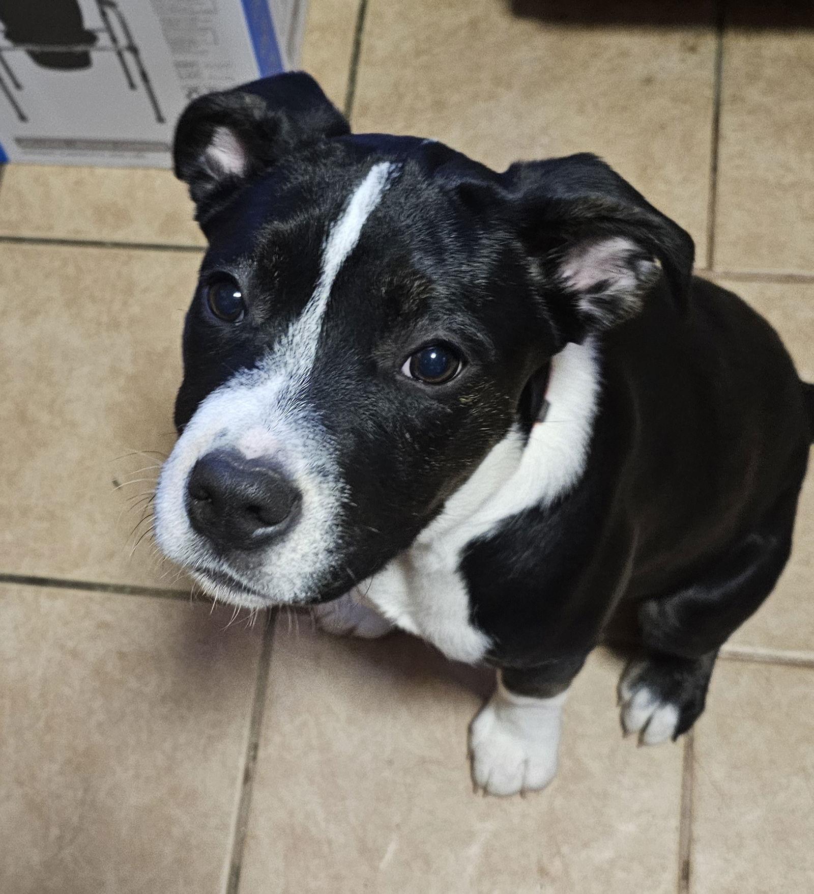 Nuggetin Nhsponsored