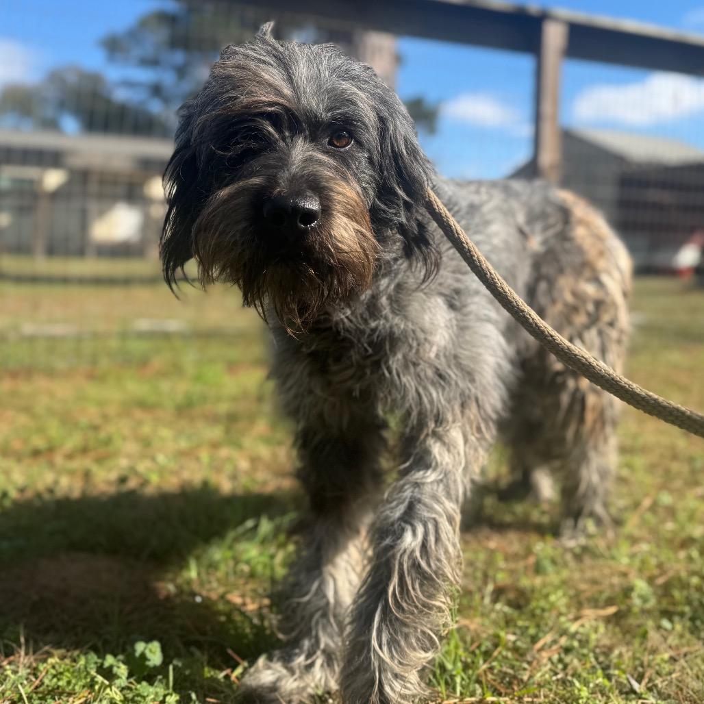 Zues Lightning thumbnail 3