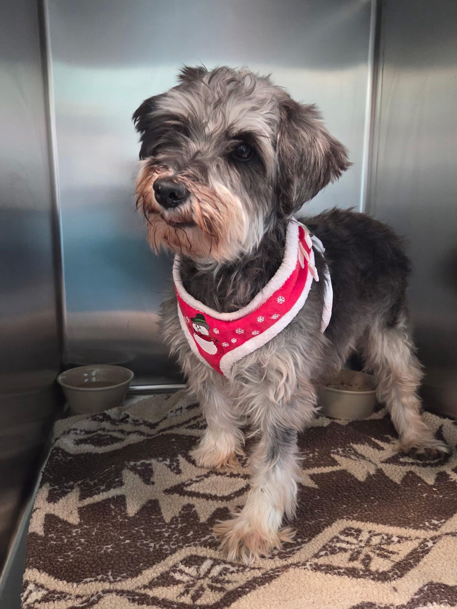 June Bug thumbnail 2