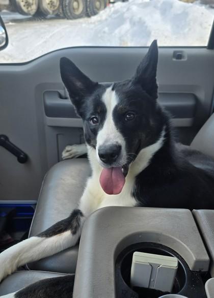 Kikimora thumbnail 3