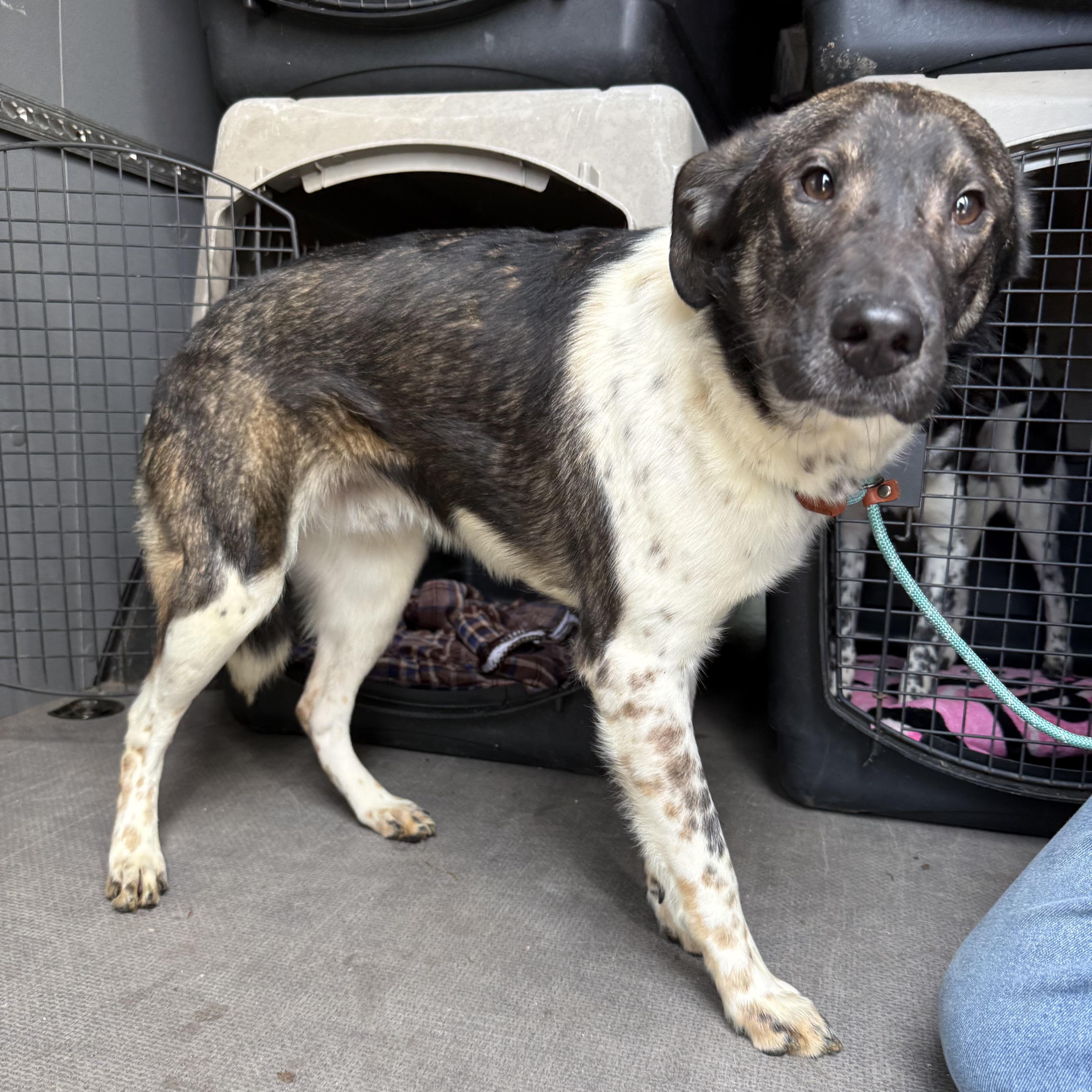 Stonyfield thumbnail 2